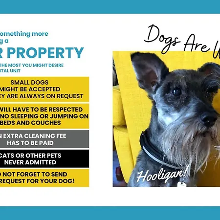 Picagetta Tiny With Ac